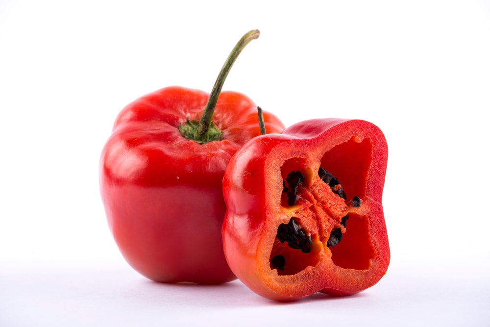 semences rocoto