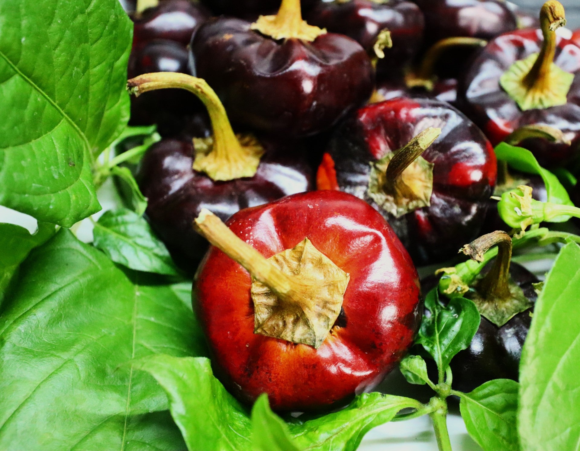 chili huacle rouge et jaune